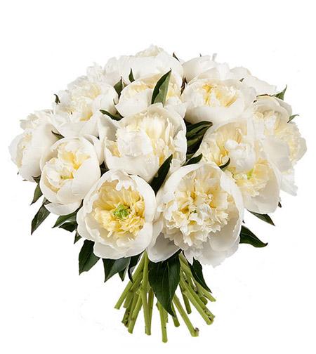 Fresh Blooms Flowers-White Peony Bouquet