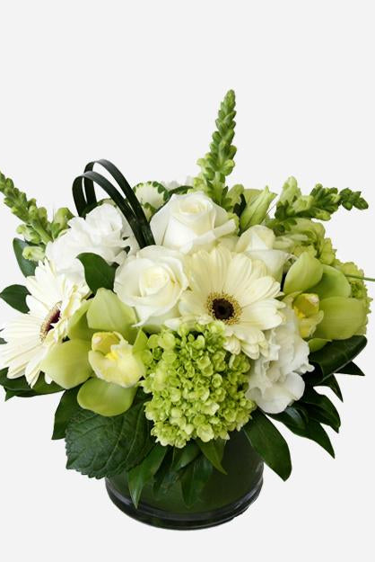 Fresh Blooms Flowers-Winter Elegance
