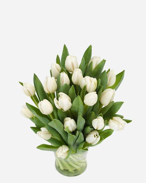 Fresh Blooms Flowers-Winter White Tulips