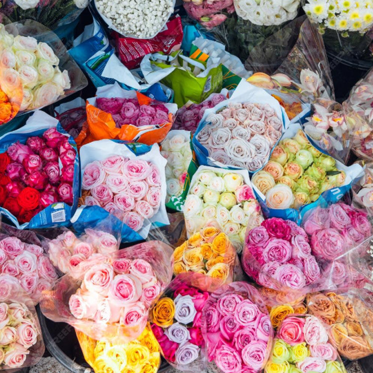 Bulk Fresh Roses Wholesale Flowers | Bulk Flowers & Greenery - Fresh Blooms Canada ...