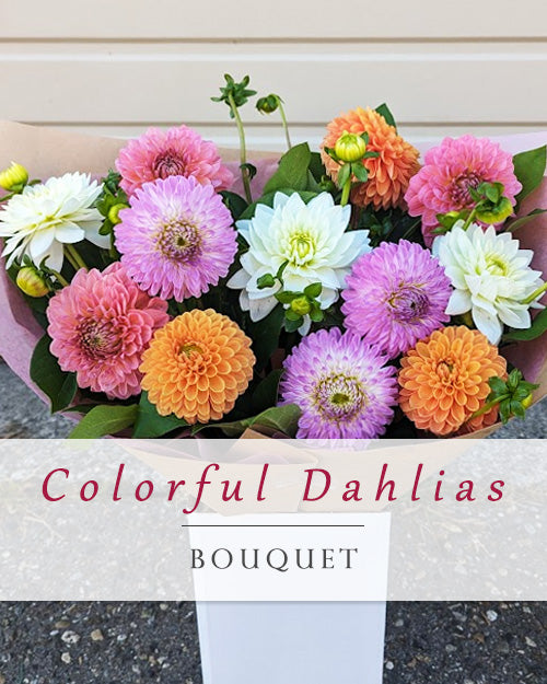 Colorful Dahlia Bouquet
