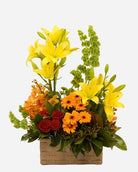 Floral Splendour