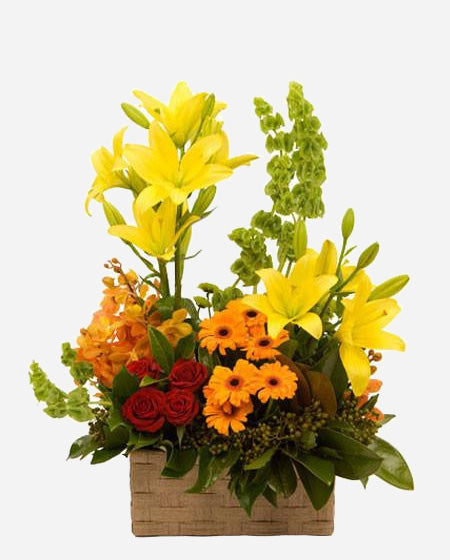 Floral Splendour