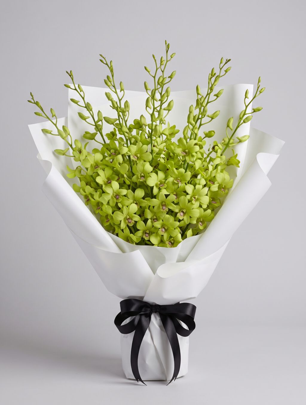 Green Dendrobium Bouquet of lime-green dendrobium orchids with buds wrapped in white paper with a black satin ribbon