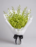 Green Dendrobium Bouquet of lime-green dendrobium orchids with buds wrapped in white paper with a black satin ribbon