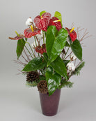 Decorative plant arrangement with anthurium, pinecones and cotton in a burgundy pot.