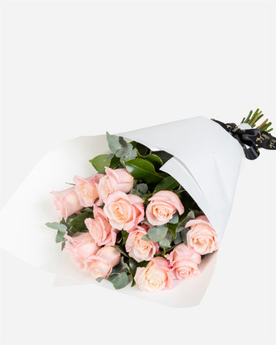 Premium Light Pink Roses