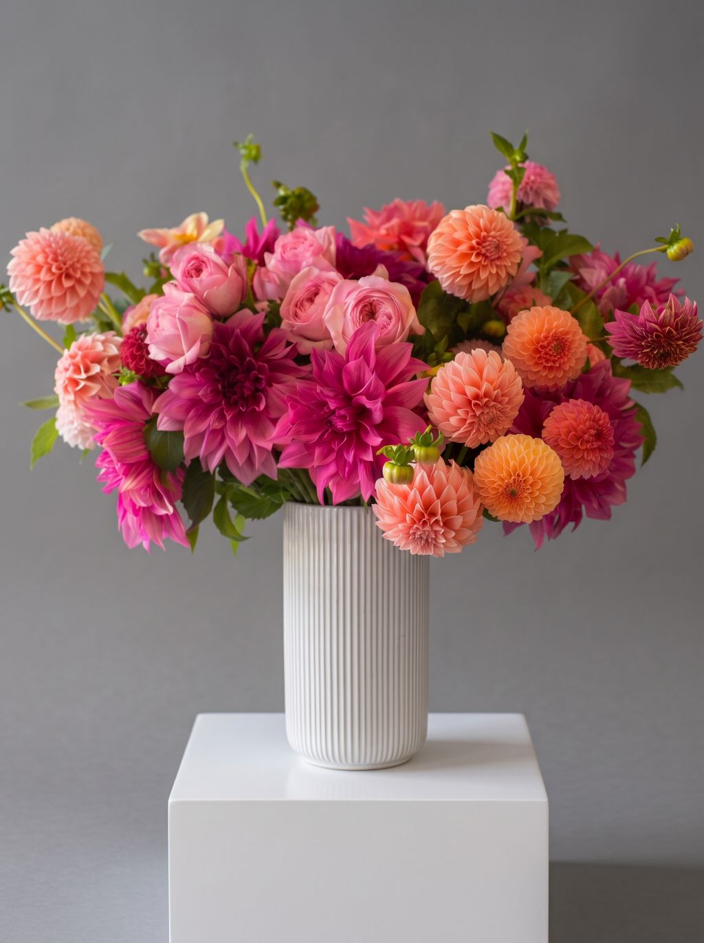 Raspberry Sunset arrangement of magenta, coral, peach and orange dahlias with pink garden roses in a white ribbed ceramic vase
