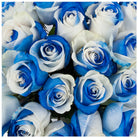 Fresh Blooms Flowers-Roses Premium 50cm - Tinted