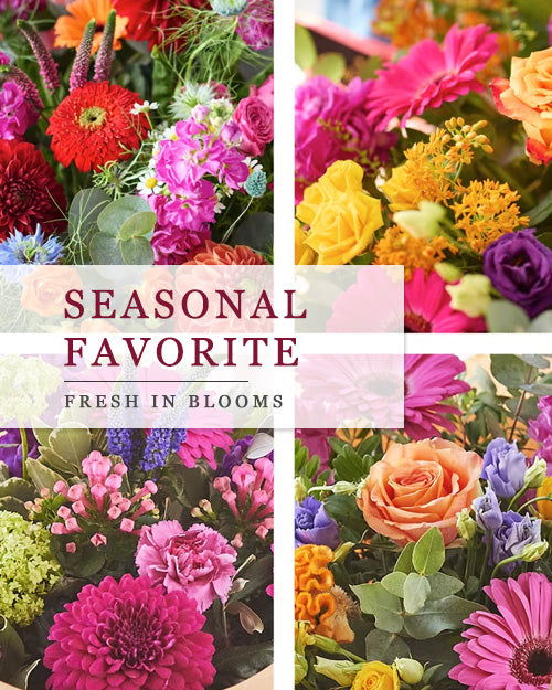 Collage of colorful flowers with 'Seasonal Favorite' text overlay.