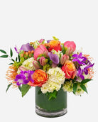 Spectacular Spring