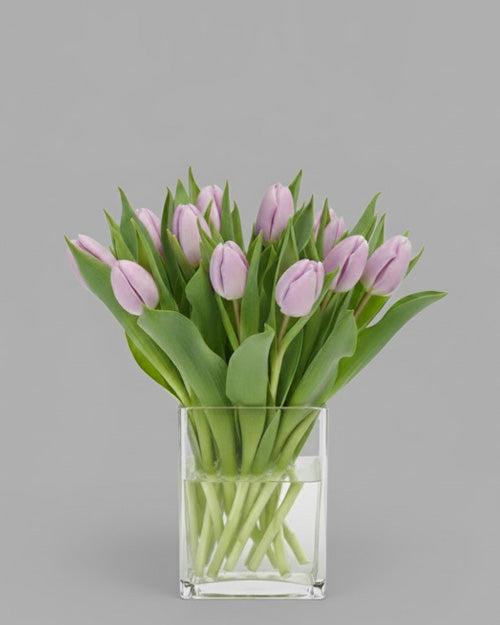 Fresh Blooms Flowers-Seasonal Tulips