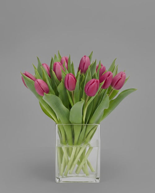Fresh Blooms Flowers-Seasonal Tulips