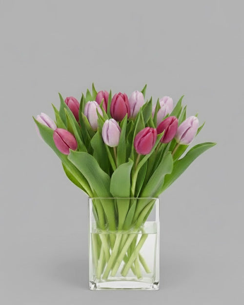 Fresh Blooms Flowers-Seasonal Tulips