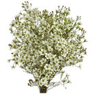 Fresh Blooms Flowers-Waxflowers