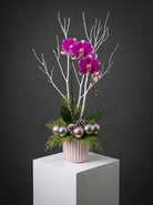 Winter purple phalaenopsis orchid with white branches, cedar greens, frosted pinecones and pink and silver ornaments in a blush-pink ribbed ceramic pot