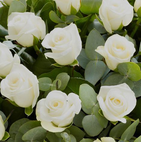 Fresh Blooms Flowers-24 White Roses Bouquet