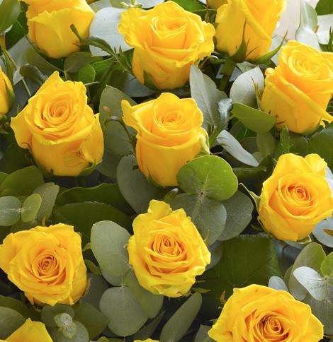 Fresh Blooms Flowers-24 Yellow Roses Bouquet