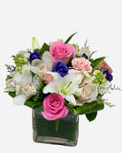 Fresh Blooms Flowers-Beautiful Day