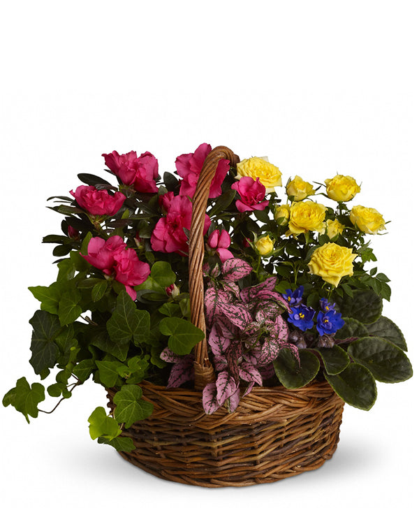 Fresh Blooms Flowers-Blooming Garden Basket
