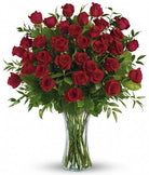 Fresh Blooms Flowers-Breathtaking Beauty