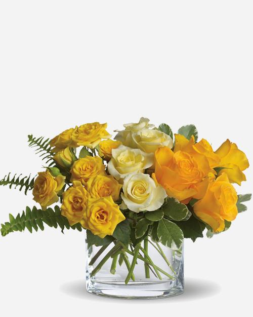 Fresh Blooms Flowers-Brilliant Sunshine