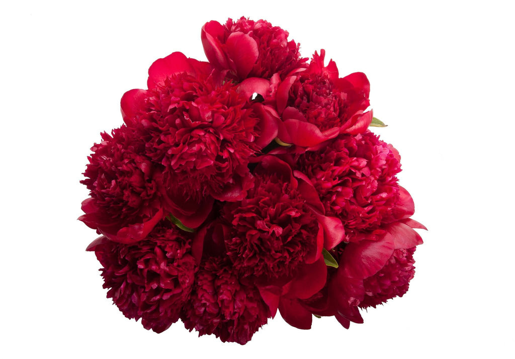 Fresh Blooms Flowers-Burgundy Peony Bouquet