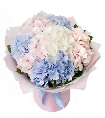 Fresh Blooms Flowers-Cloud of Hydrangeas