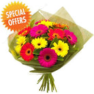 Fresh Blooms Flowers-Colorful Gerbera Bouquet