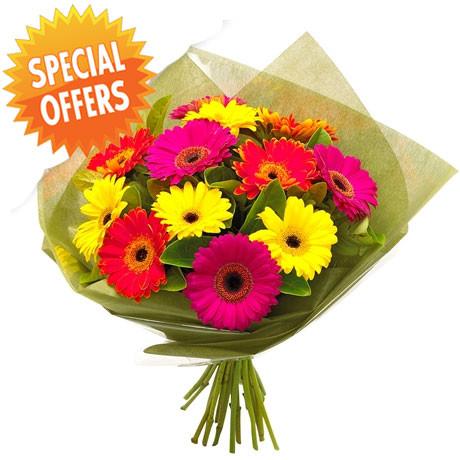 Fresh Blooms Flowers-Colorful Gerbera Bouquet