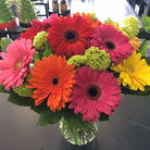 Fresh Blooms Flowers-Colorful Gerbera Bouquet