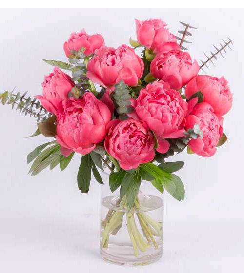 Fresh Blooms Flowers-Coral Crush