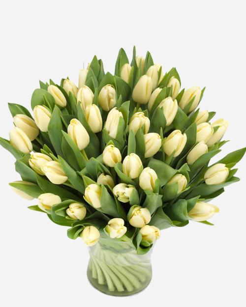 Fresh Blooms Flowers-Creamy Tulips