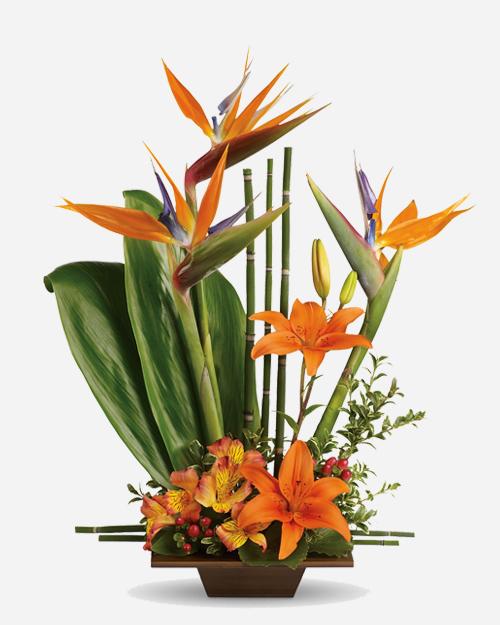 Fresh Blooms Flowers-Exotic Grace