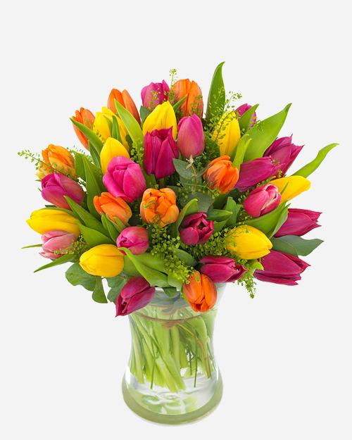 Fresh Blooms Flowers-Glowing Tulips