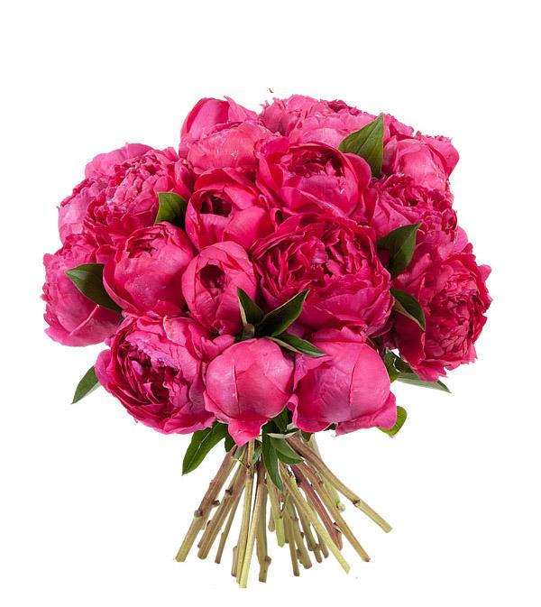 Fresh Blooms Flowers-Hot Pink Peony Bouquet