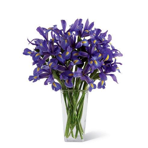 Fresh Blooms Flowers-Iris Treasure
