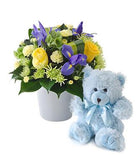 Fresh Blooms Flowers-It's A Boy
