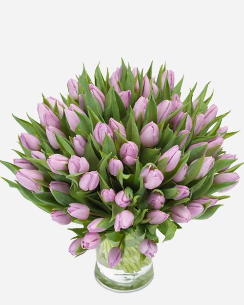 Fresh Blooms Flowers-Lavender Tulips