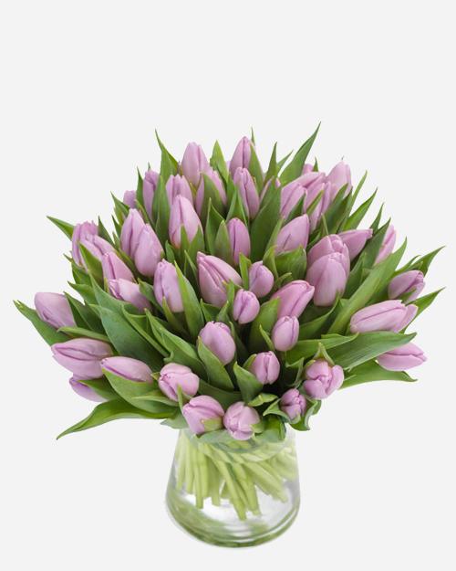 Fresh Blooms Flowers-Lavender Tulips