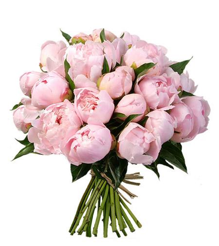 Light Pink Peony Bouquet - Fresh Blooms Langley Florist - Surrey