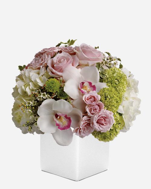 Fresh Blooms Flowers-Love Song