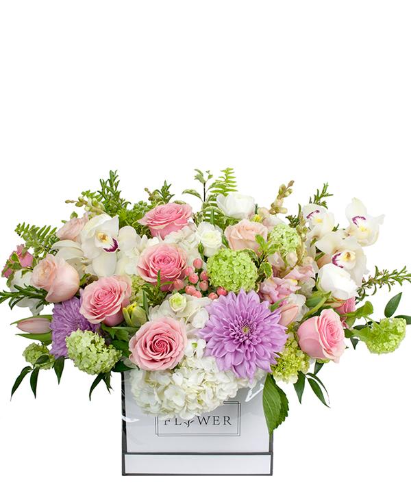 Fresh Blooms Flowers-Luxury Flower Box