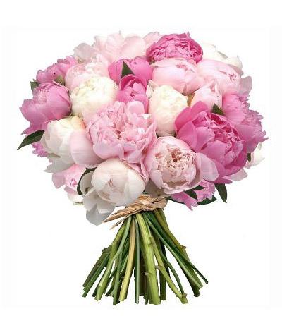 Fresh Blooms Flowers-Luxury Peony Bouquet