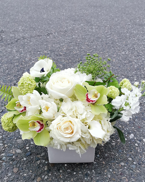 Fresh Blooms Flowers-Mother's Day Signature - White & Green