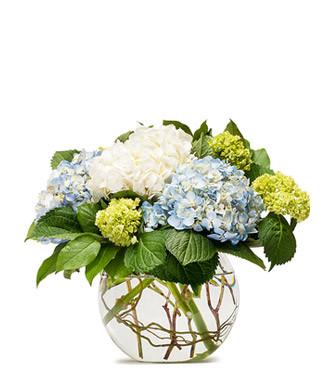 Fresh Blooms Flowers-Mighty Hydrangea