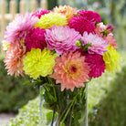 Fresh Blooms Flowers-Vibrant Dahlia Bouquet