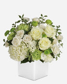Fresh Blooms Flowers-Peace