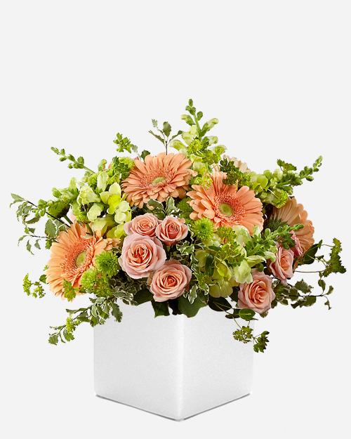 Fresh Blooms Flowers-Peachy