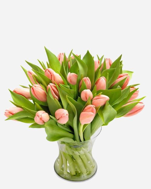 Fresh Blooms Flowers-Peachy Tulips